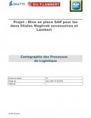 Projet : Mise en place SAP pour les deux filiales Maghreb accessoires et Lambert