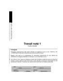 TN1 - ADM 1013 Comportement organisationnel